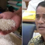 Kinerja Gemilang Kementan RI "Amran Sulaiman Dalam Menangani Swasembada Beras Screenshot_20251031_131519_Chrome