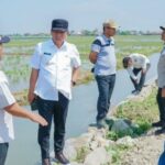 Di Balik Gratisnya Pajak Tanah Sawah "Swasembada Menjadi Alasan Di Karawang Screenshot_20251211_024308_Chrome