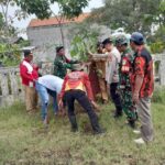 Screenshot_20260106_192658_WhatsAppBusiness