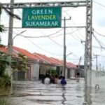 Screenshot_20260125_194224